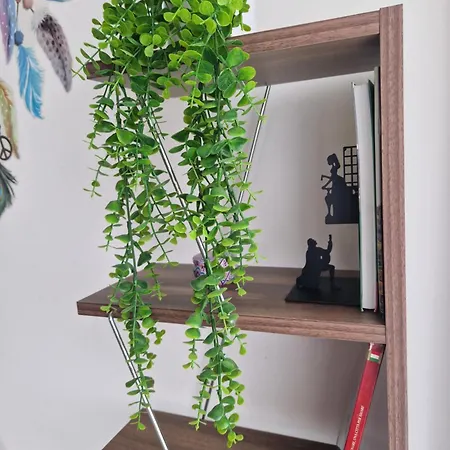 Comfort * فيرونا